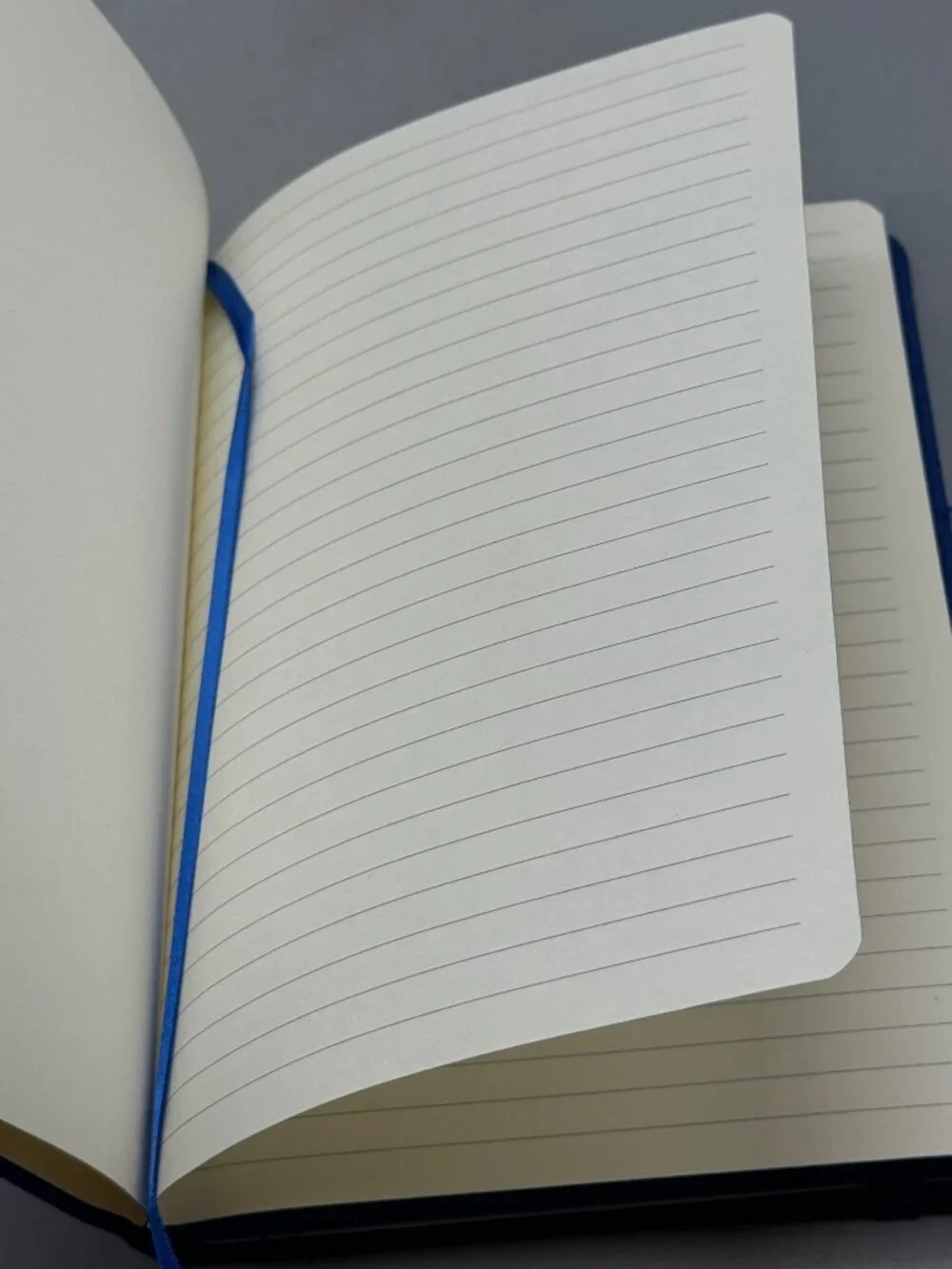 Leeman Blue Embossed Journal Elastic Bookmark 50th Anniversary Edition READ